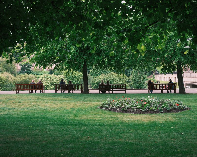 Mobilidade Urbana — Peaceful park scene featuring benches, lush trees, and vibrant flower beds.